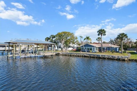 A home in Homosassa