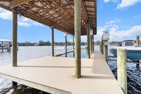 A home in Homosassa