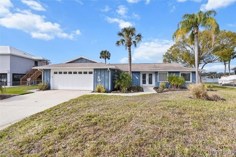 A home in Homosassa