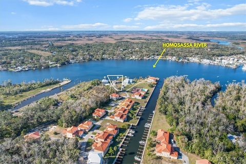 A home in Homosassa