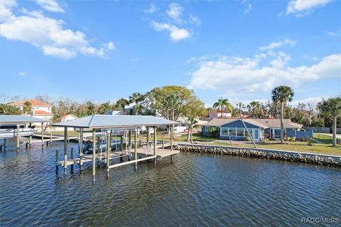 A home in Homosassa