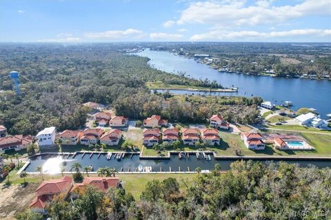 A home in Homosassa