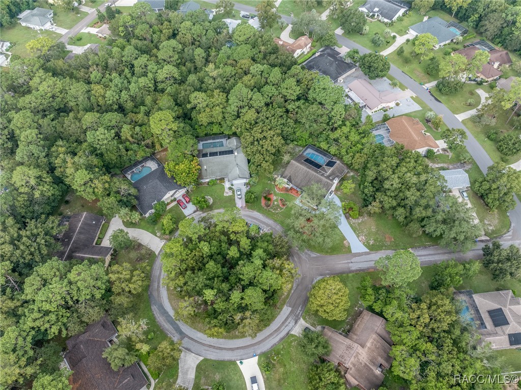 4 Chinkapin Court, Homosassa, New York image 40