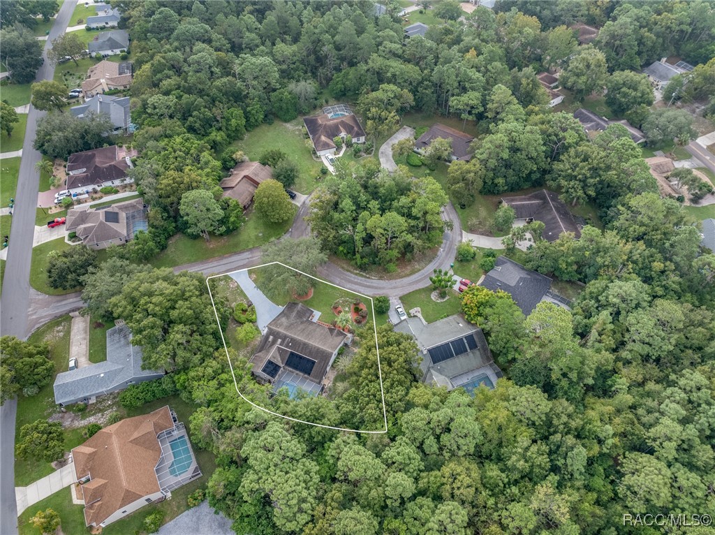 4 Chinkapin Court, Homosassa, New York image 41