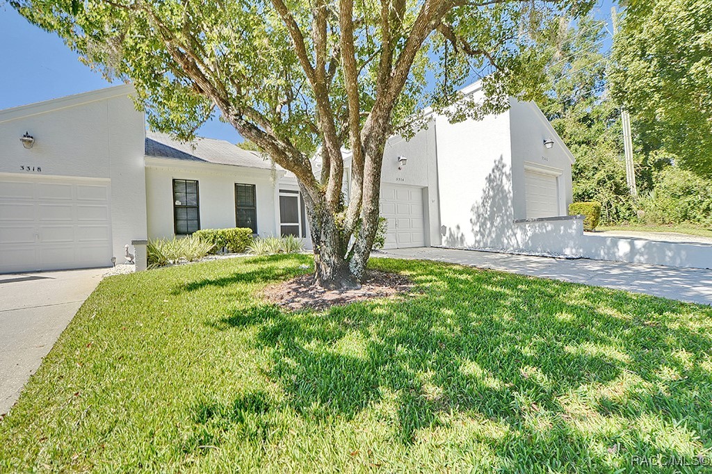 3314 S Belgrave Drive, Inverness, Florida image 3