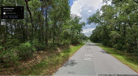Vacant Land For Sale - 120 N Savary Avenue<br/> Citrus County, Inverness, FL 34453