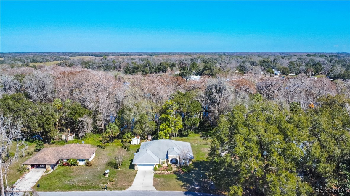 11 N Shadow Wood Drive, Inverness, Florida image 35