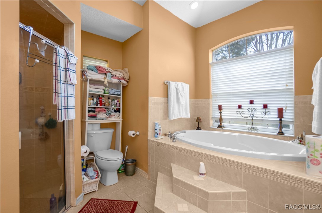 11 N Shadow Wood Drive, Inverness, Florida image 20