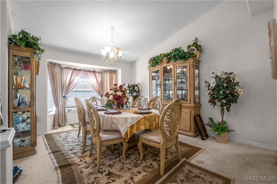 11 N Shadow Wood Drive, Inverness, Florida image 11