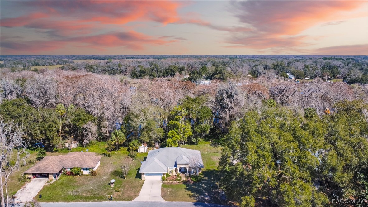 11 N Shadow Wood Drive, Inverness, Florida image 34