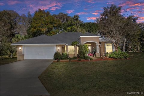 Homes For Sale - 11 N Shadow Wood Drive<br/> Citrus County, Inverness, FL 34450