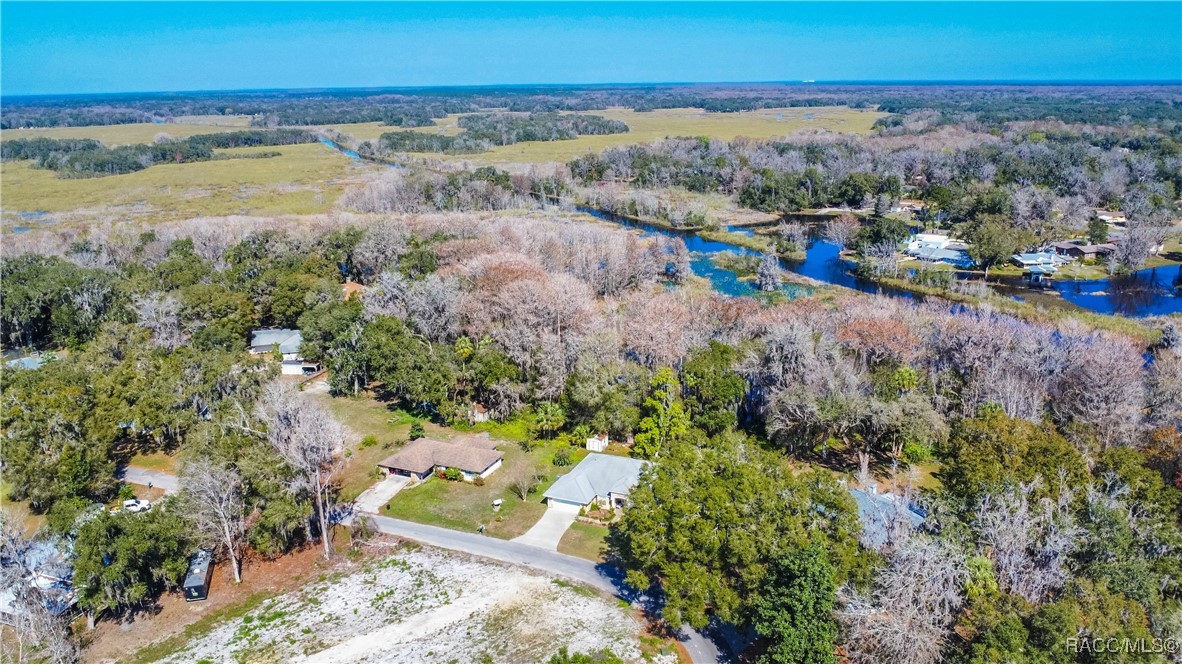 11 N Shadow Wood Drive, Inverness, Florida image 37