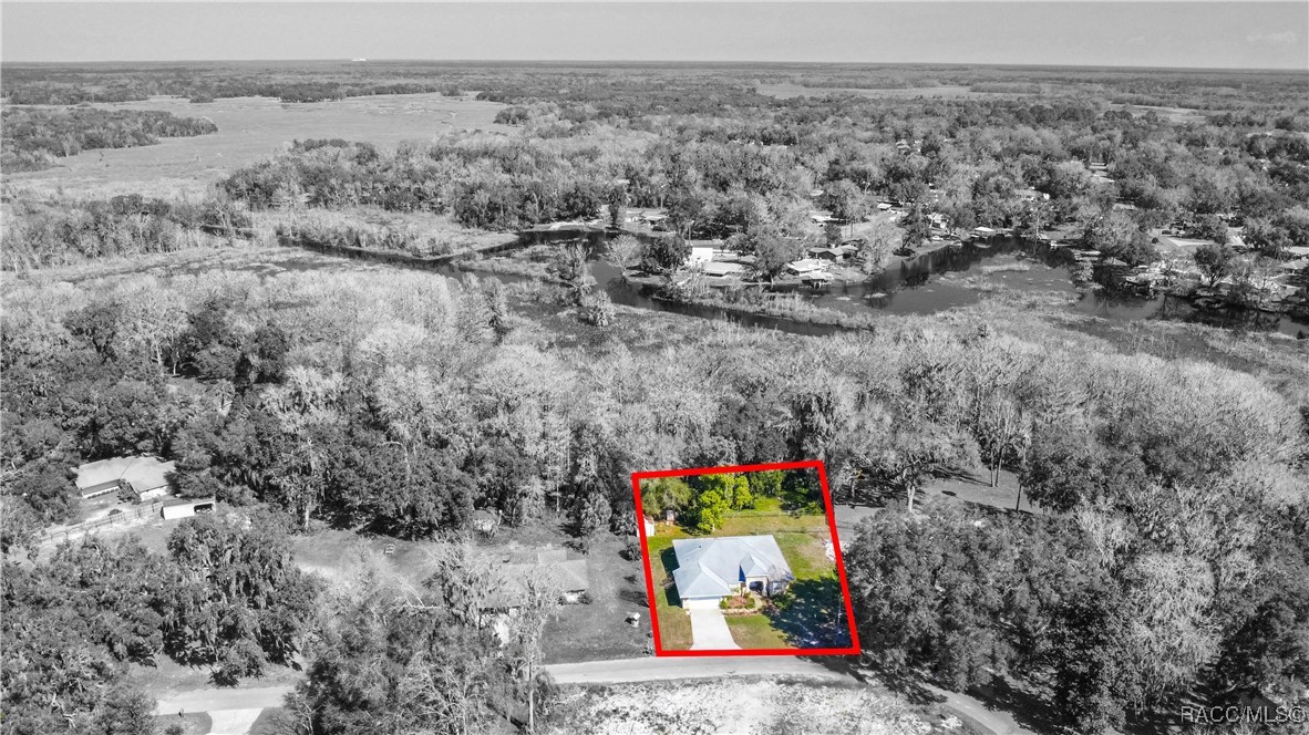 11 N Shadow Wood Drive, Inverness, Florida image 44