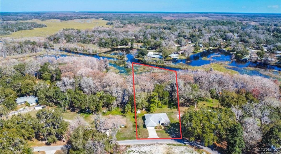 11 N Shadow Wood Drive, Inverness, Florida image 45