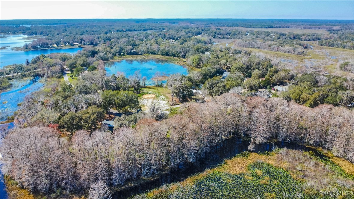 11 N Shadow Wood Drive, Inverness, Florida image 43