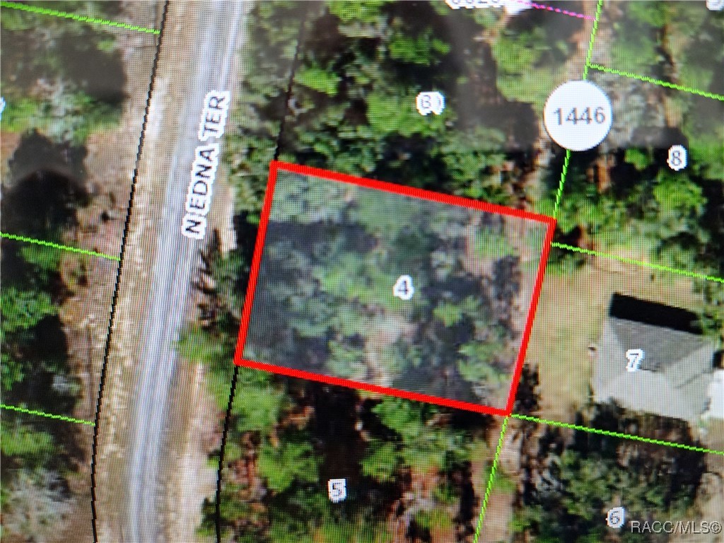 11155 N Edna Terrace, Citrus Springs, New York image 1