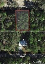 9592 W Pomelo Lane, Crystal River, New York image 1