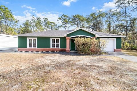 A home in Homosassa