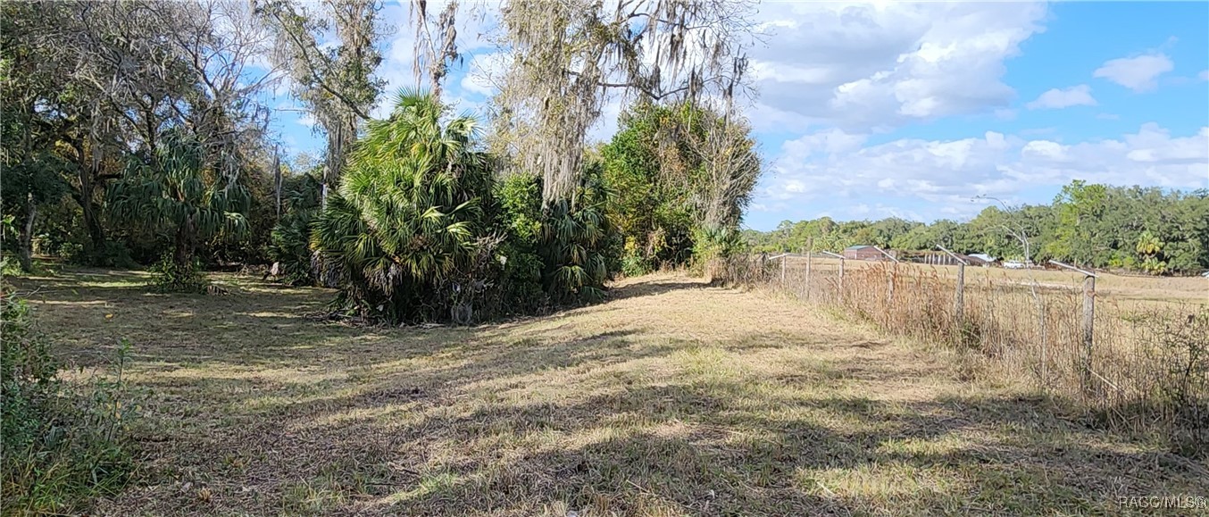 6841 N Heidi Drive, Hernando, Florida image 7