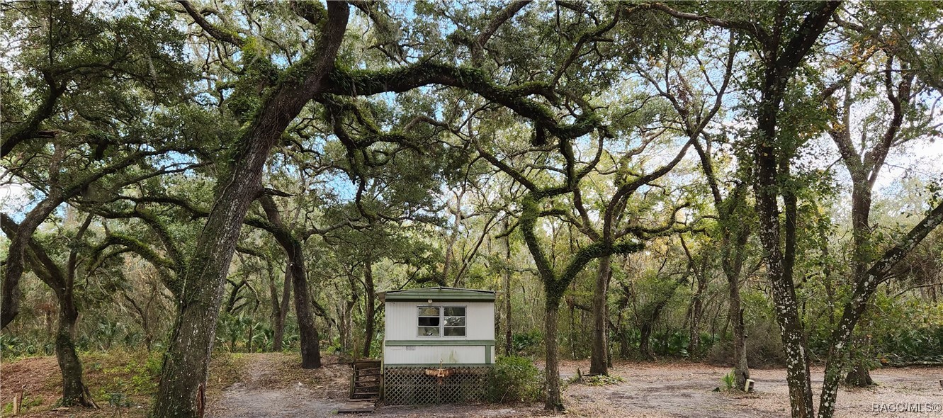 6841 N Heidi Drive, Hernando, Florida image 3