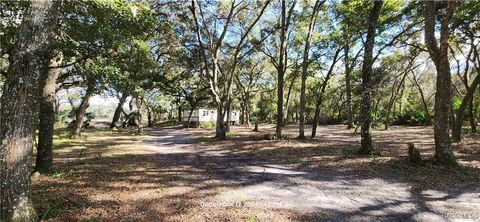 A home in Hernando