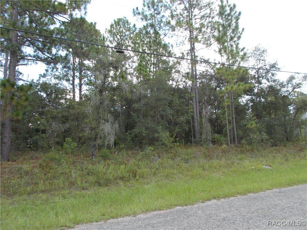 Citrus Springs, Florida 34434, United States, ,Land,Active,196052