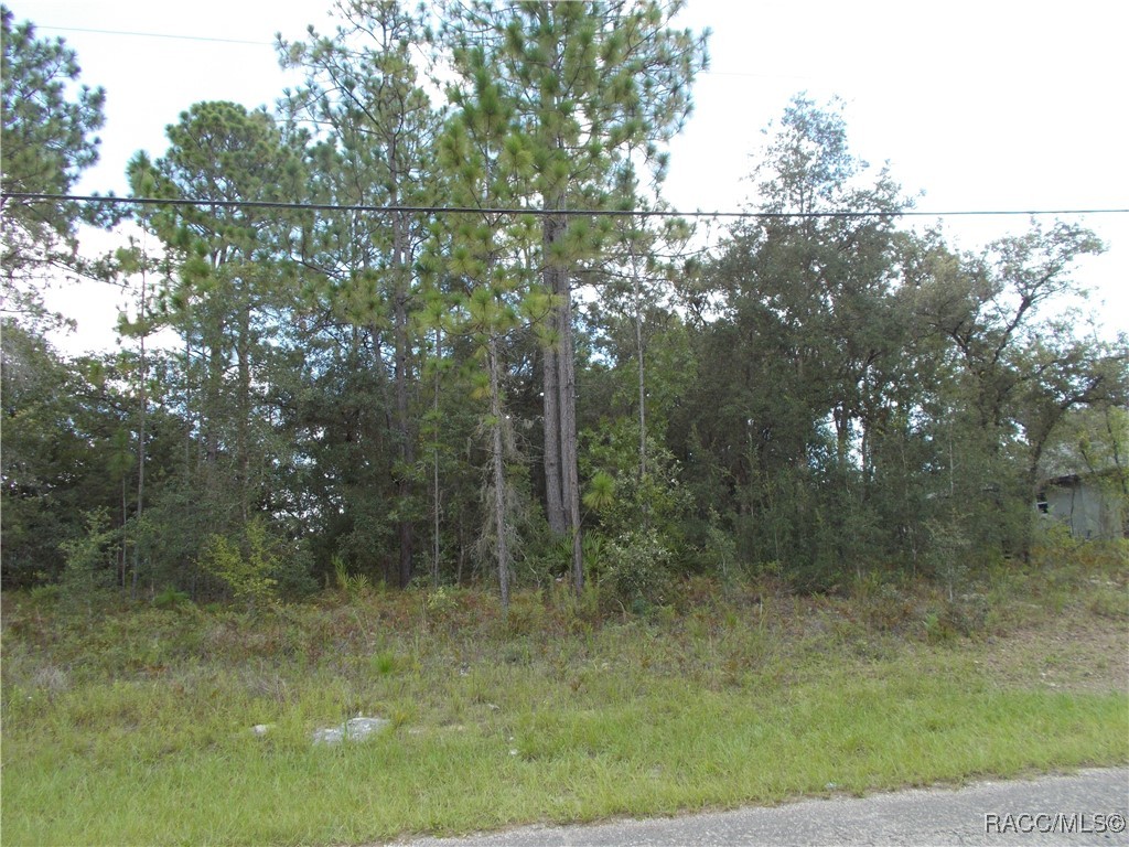 Citrus Springs, Florida 34434, United States, ,Land,Active,196052