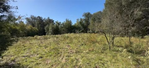 Vacant Land For Sale - 2309 Garfield Street<br/> Inverness, FL 34453