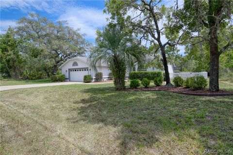 A home in Homosassa