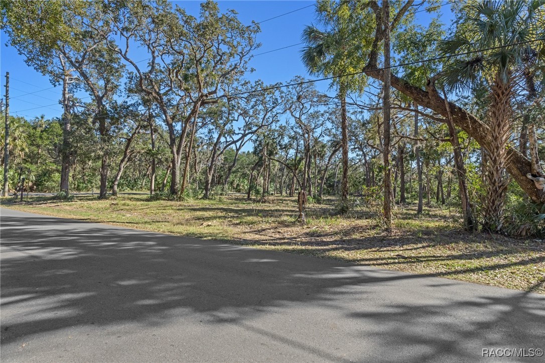 12110 W Standish Drive, Homosassa, Florida image 9