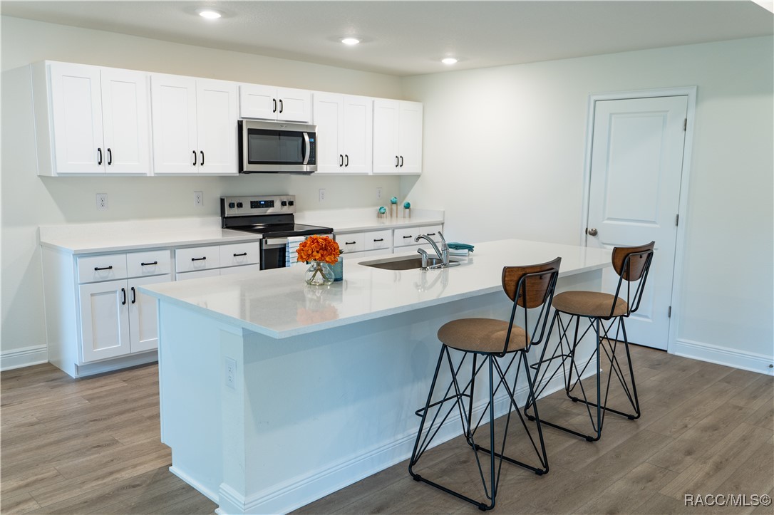 2850 W Camilo Drive, Citrus Springs, Florida image 6