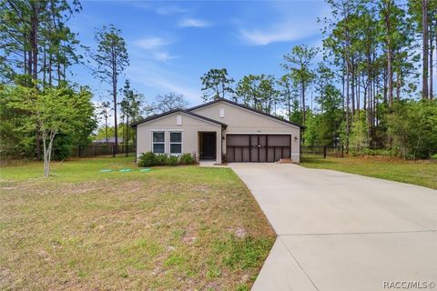 Homes For Sale - 7874 N Pocono Drive<br/> Citrus Springs, FL 34434