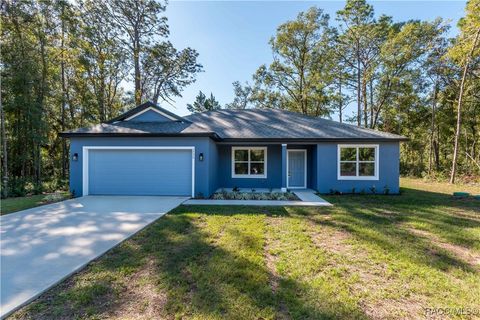 A home in Citrus Springs