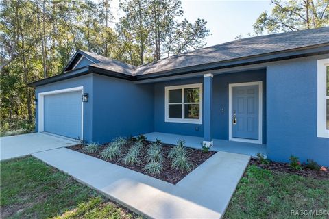 A home in Citrus Springs