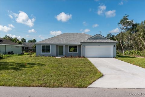 A home in Citrus Springs