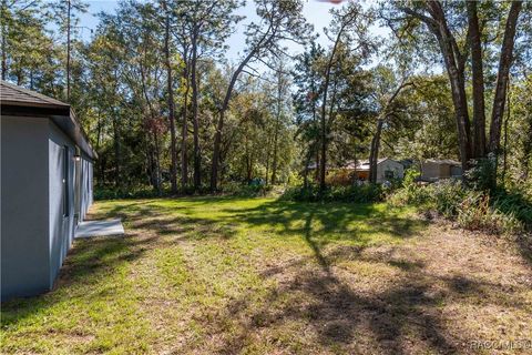 A home in Citrus Springs