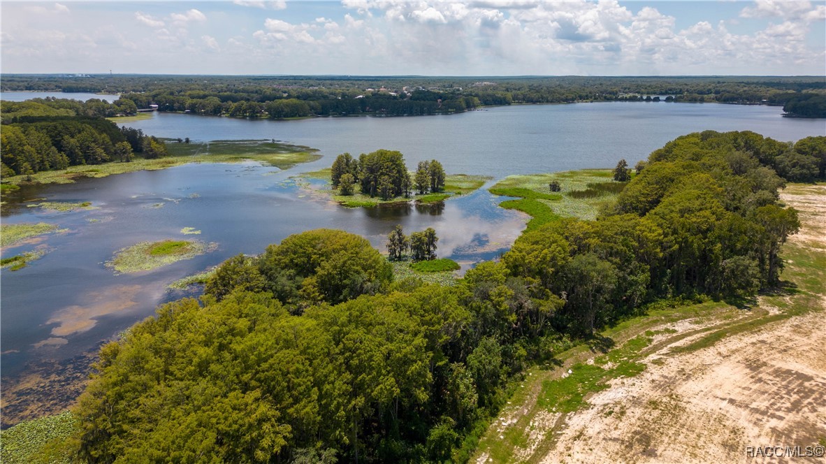 1137 Heron Point Drive, Inverness, Florida image 9