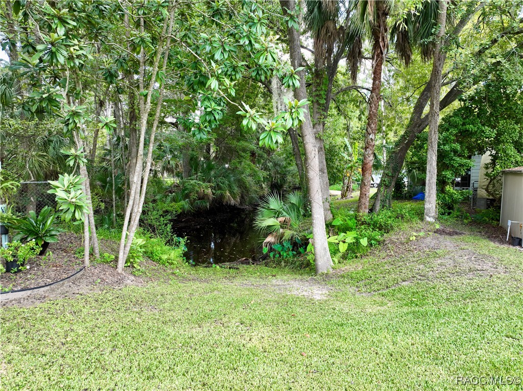 199 Mastadon Drive, Inglis, New York image 6