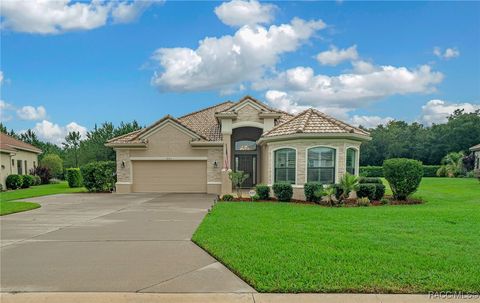 A home in Hernando