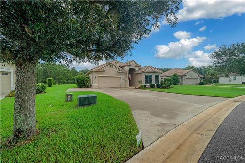 A home in Hernando