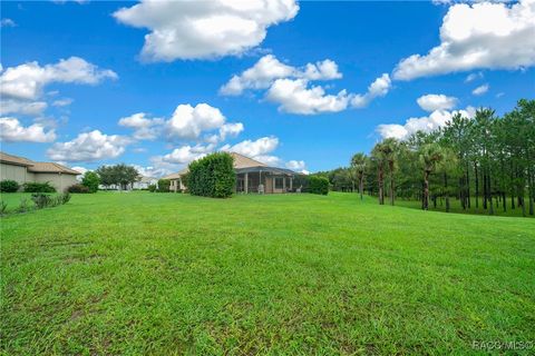 A home in Hernando