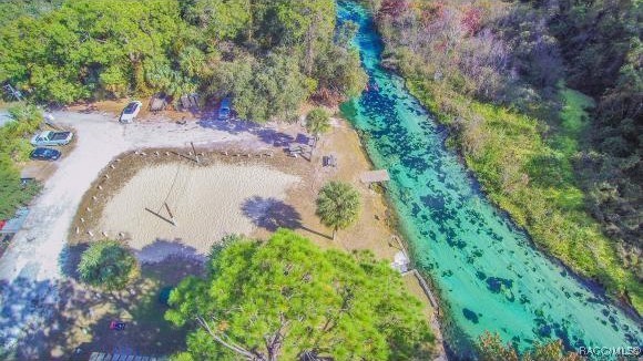 7187 Montier Street, Weeki Wachee, Florida image 31