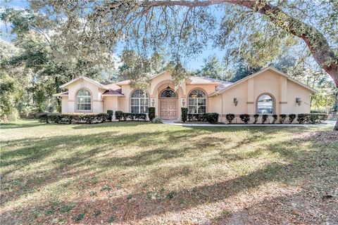 A home in Hernando