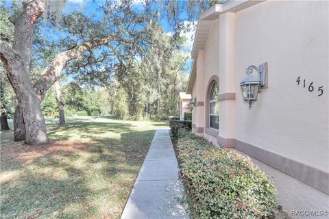 A home in Hernando