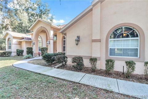 A home in Hernando