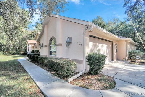 A home in Hernando