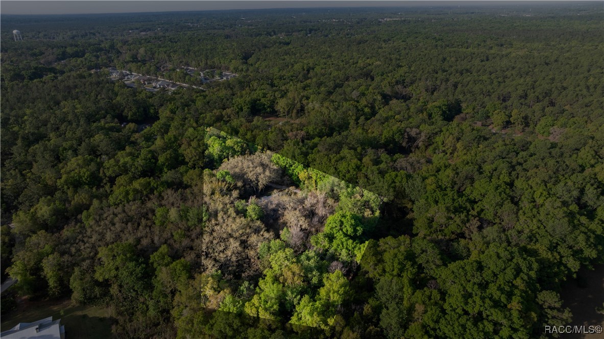 5889 NE 43rd Lane Road, Silver Springs, Florida image 45