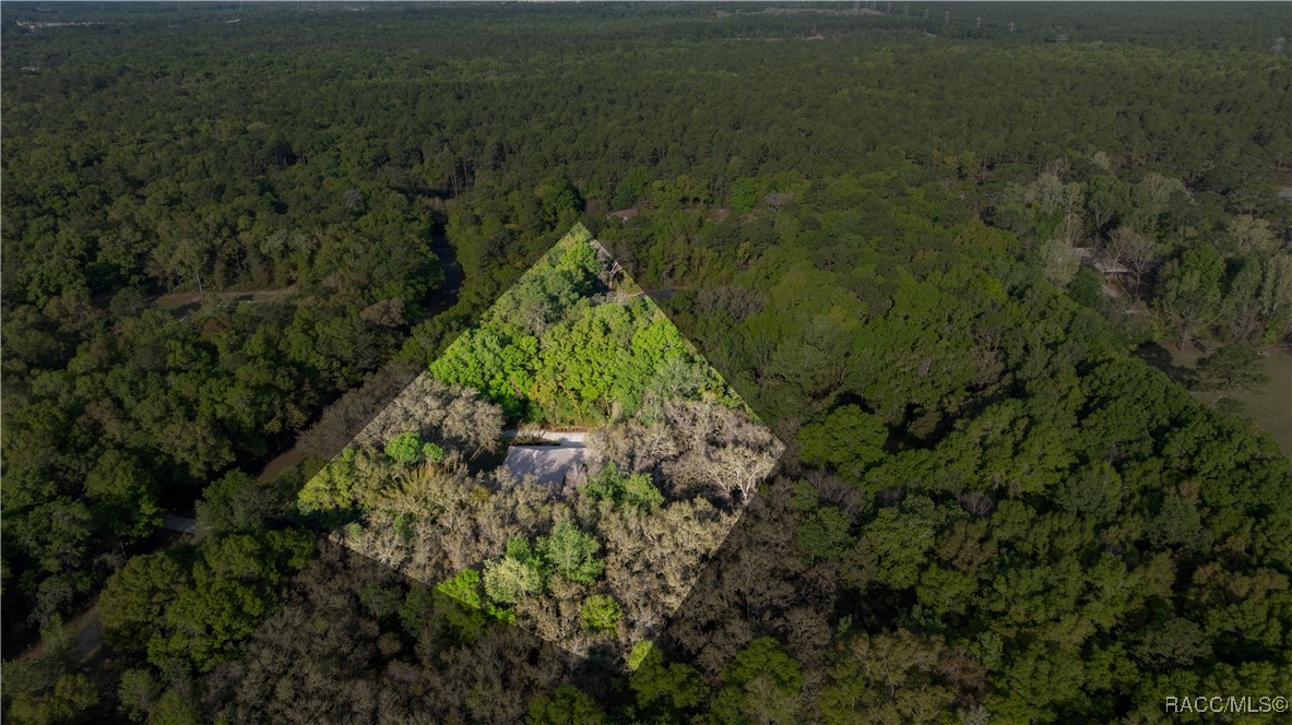 5889 NE 43rd Lane Road, Silver Springs, Florida image 46