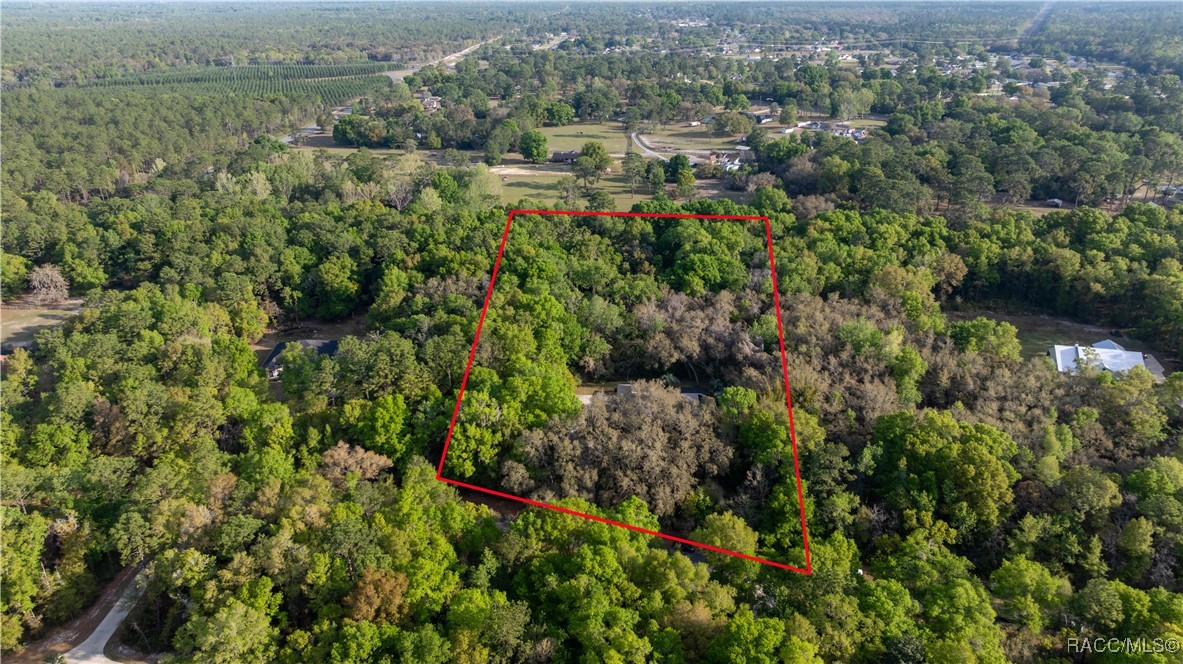 5889 NE 43rd Lane Road, Silver Springs, Florida image 4
