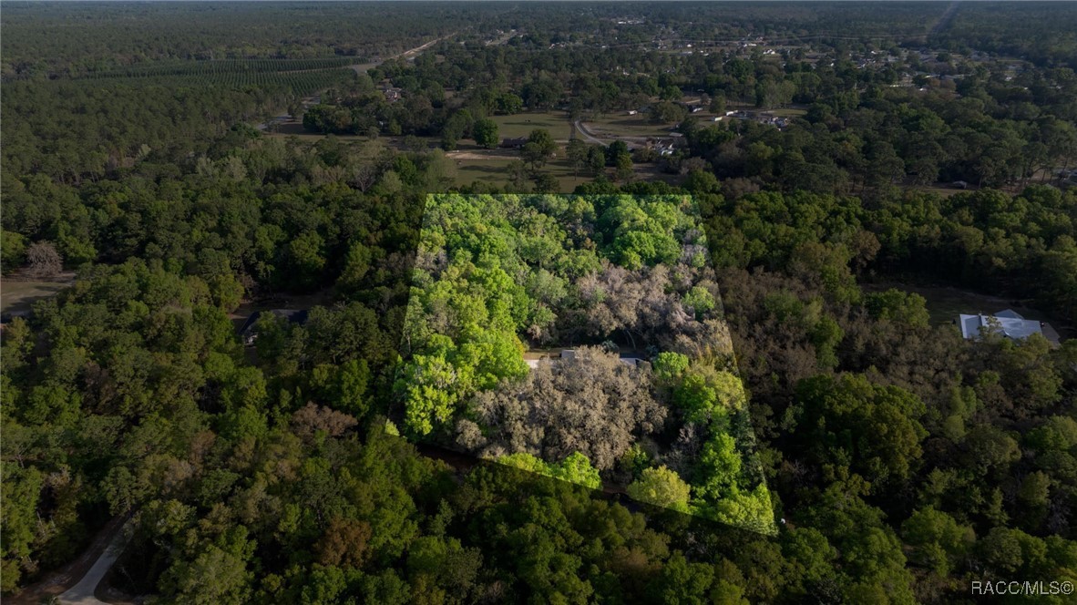 5889 NE 43rd Lane Road, Silver Springs, Florida image 2